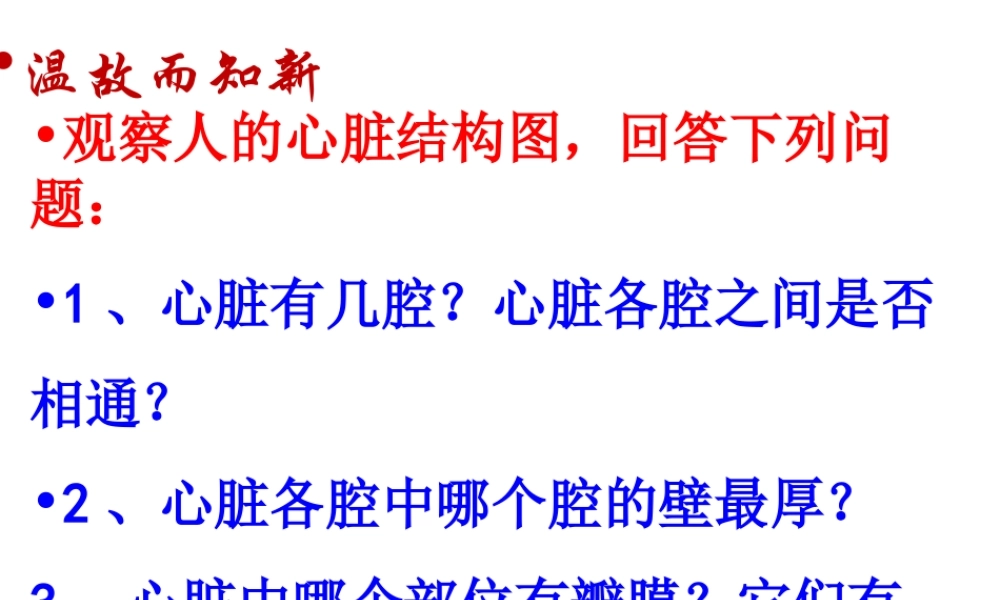 2014秋七年级生物下册 第四章 第三节 输送血液的泵—心脏（第4课时）课件 新人教版