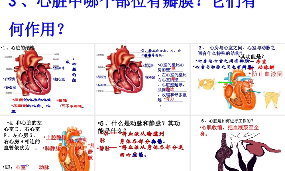 2014秋七年级生物下册 第四章 第三节 输送血液的泵—心脏（第4课时）课件 新人教版