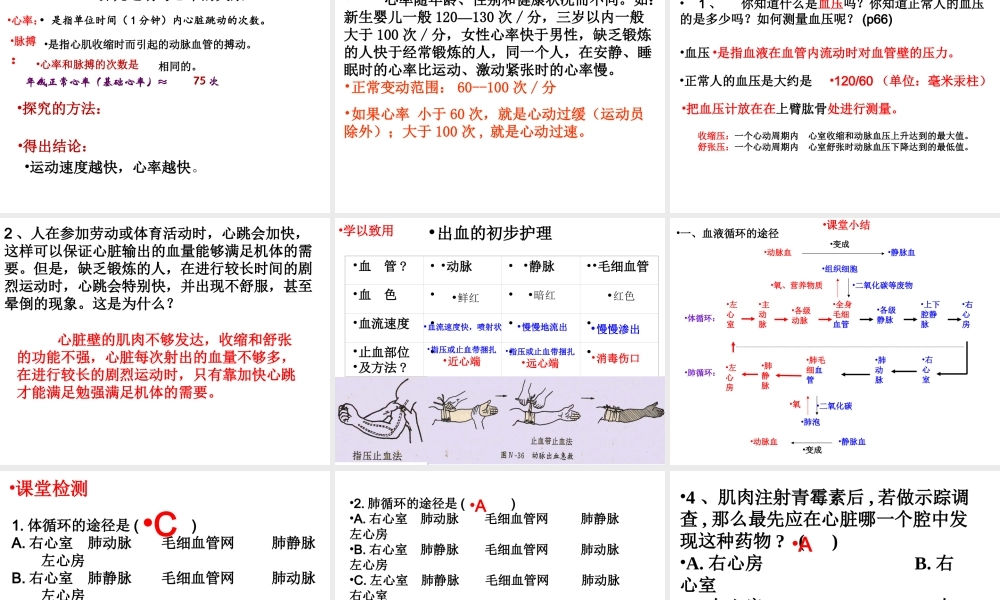 2014秋七年级生物下册 第四章 第三节 输送血液的泵—心脏（第4课时）课件 新人教版
