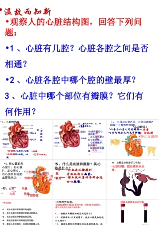2014秋七年级生物下册 第四章 第三节 输送血液的泵—心脏（第4课时）课件 新人教版
