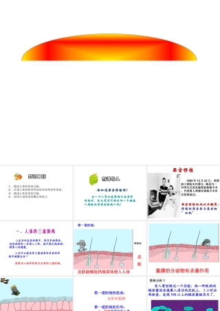 2015年八年级生物下册 8.1.2 免疫与计划免疫课件 新人教版