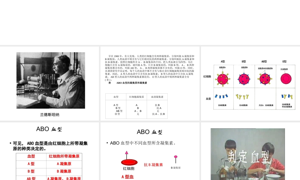 2014秋七年级生物下册 第四章 第四节 输血与血型（第1课时）课件 新人教版