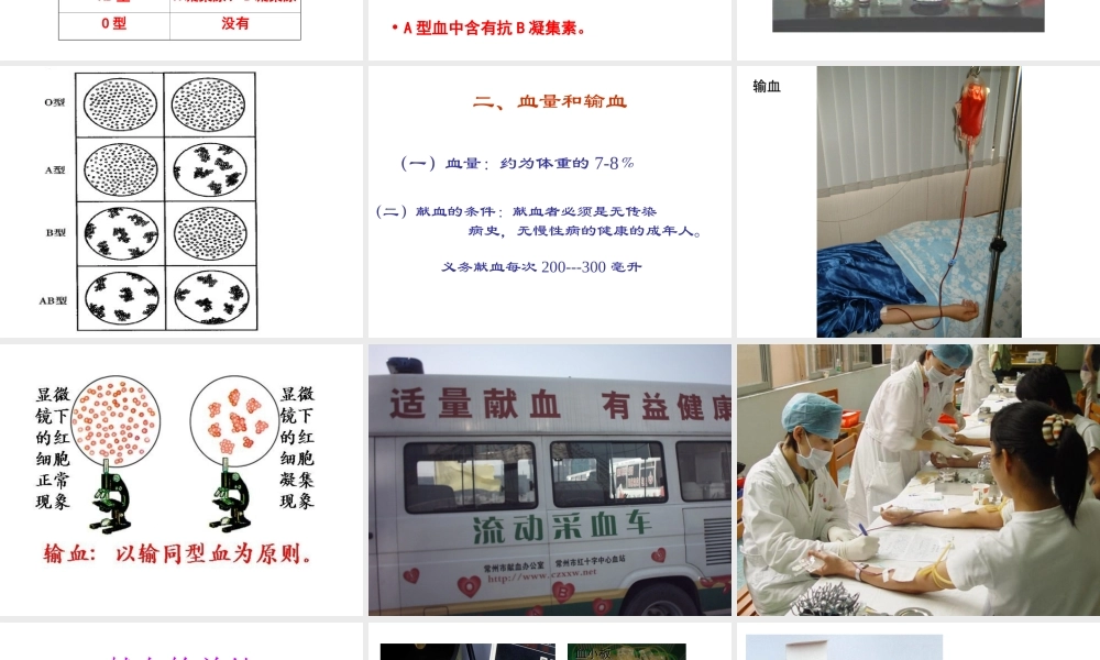 2014秋七年级生物下册 第四章 第四节 输血与血型（第1课时）课件 新人教版