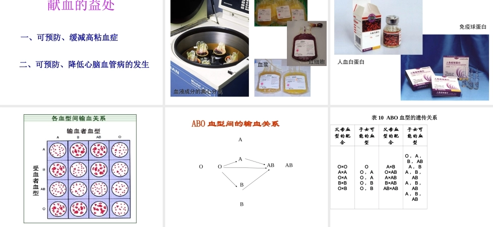 2014秋七年级生物下册 第四章 第四节 输血与血型（第1课时）课件 新人教版