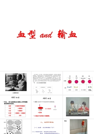 2014秋七年级生物下册 第四章 第四节 输血与血型（第1课时）课件 新人教版