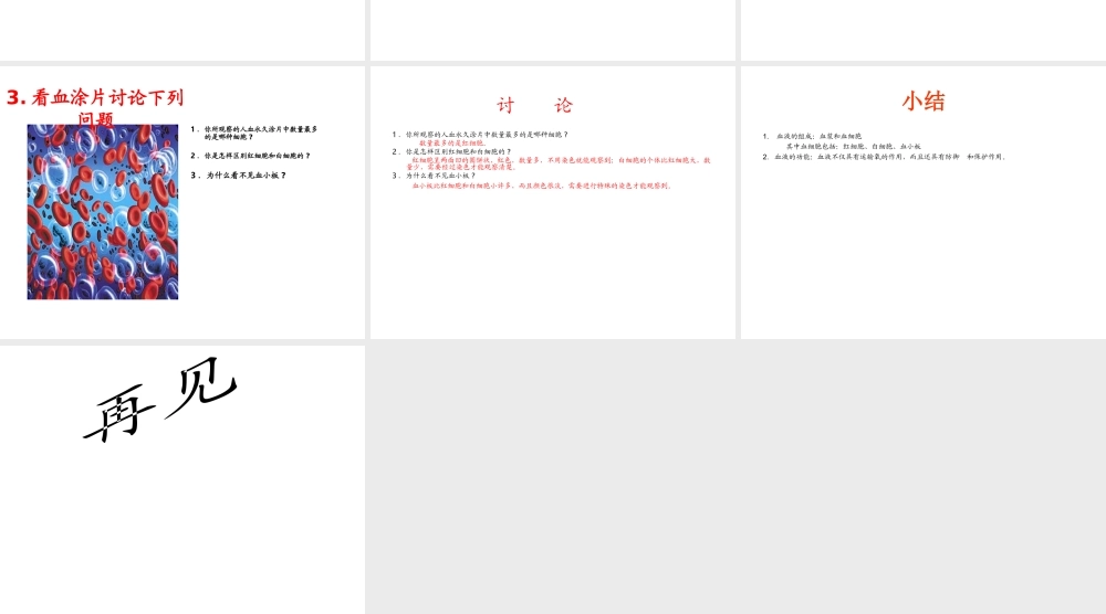 2014秋七年级生物下册 第四章 第一节 流动的组织--血液（第1课时）课件 新人教版