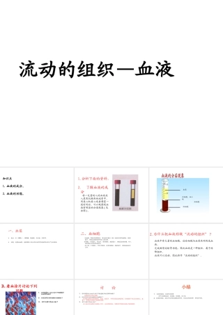 2014秋七年级生物下册 第四章 第一节 流动的组织--血液（第1课时）课件 新人教版