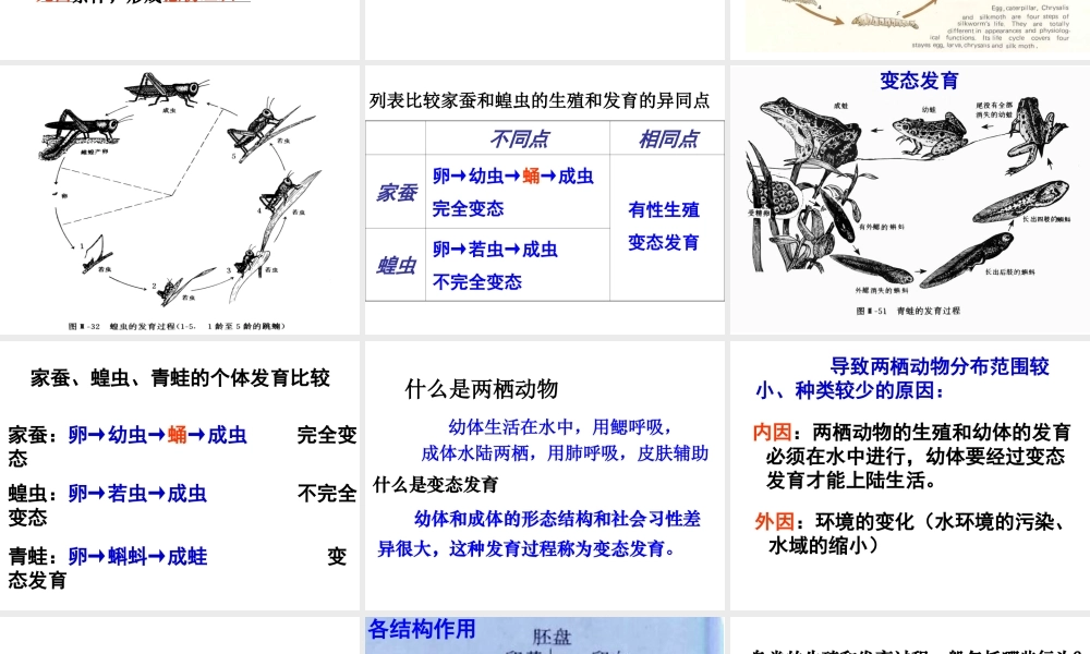 2015年八年级生物下册 第七单元 生物圈中生命的延续和发展复习课件 新人教版