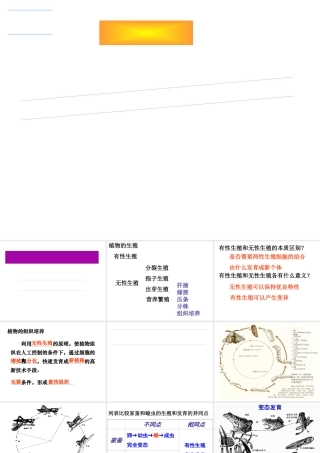 2015年八年级生物下册 第七单元 生物圈中生命的延续和发展复习课件 新人教版