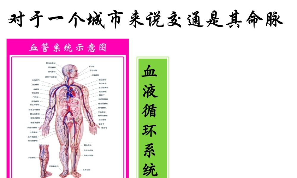 2014秋七年级生物下册 第四章 第一节 流动的组织--血液（第3课时）课件 新人教版