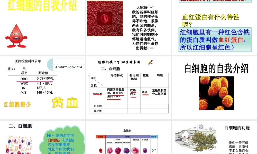 2014秋七年级生物下册 第四章 第一节 流动的组织--血液（第3课时）课件 新人教版