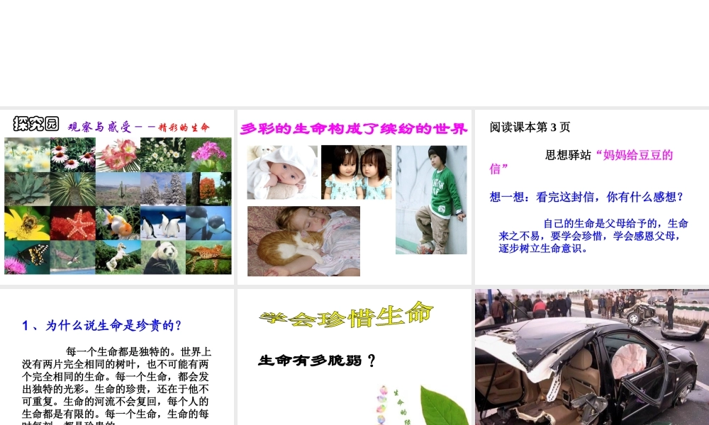 2015年八年级政治下册 第1课 珍爱生命（第1课时）课件 北师大版