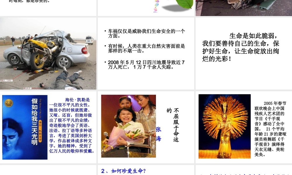 2015年八年级政治下册 第1课 珍爱生命（第1课时）课件 北师大版