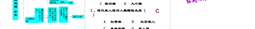 2014秋七年级生物下册 第一章 第一节 人类的起源和发展课件 新人教版