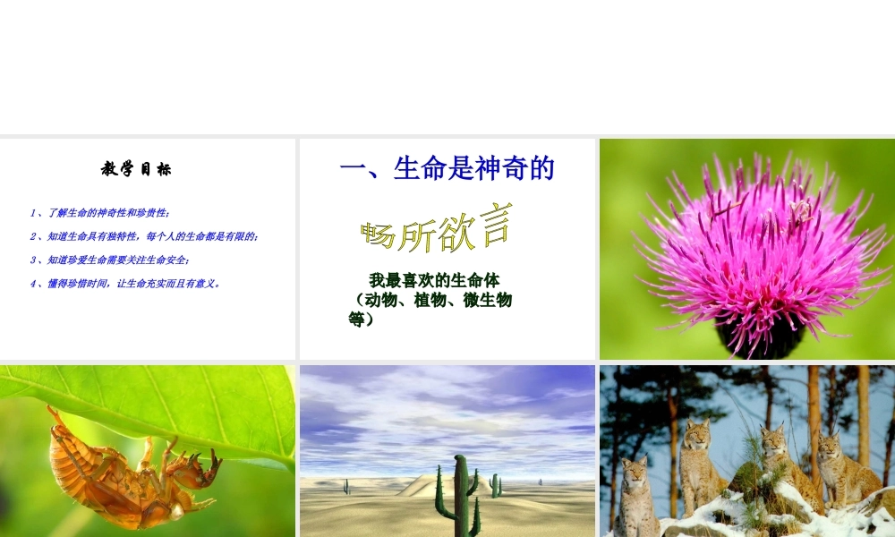 2015年八年级政治下册 第1课 珍爱生命（第2课时）课件 北师大版