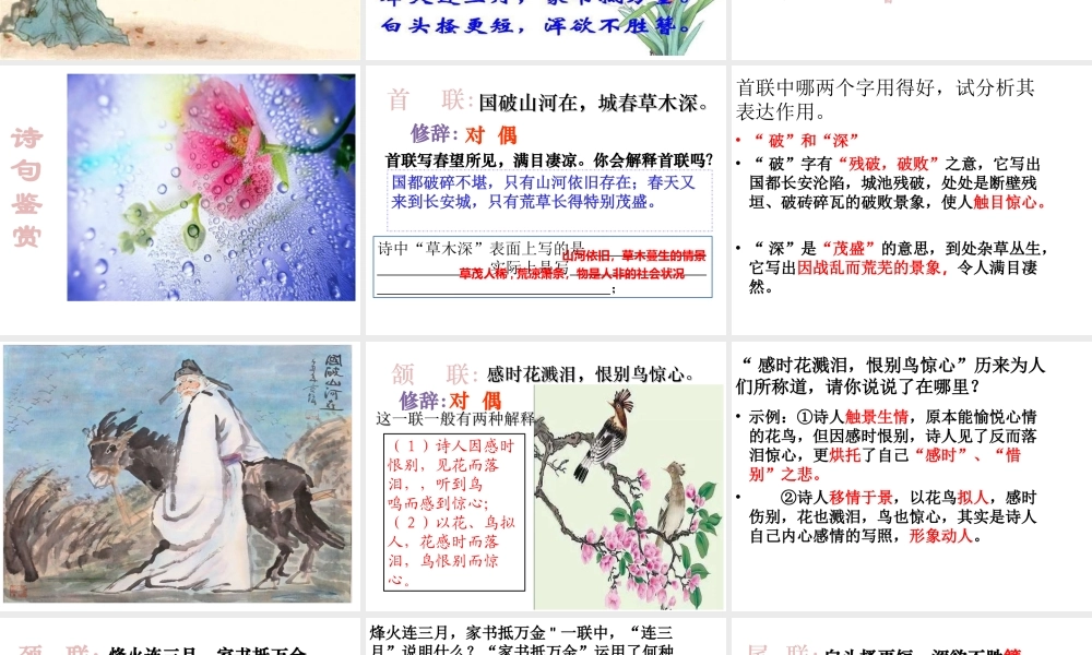 2017八年级语文上册 第六单元 24 诗词五首 春望课件 新人教版