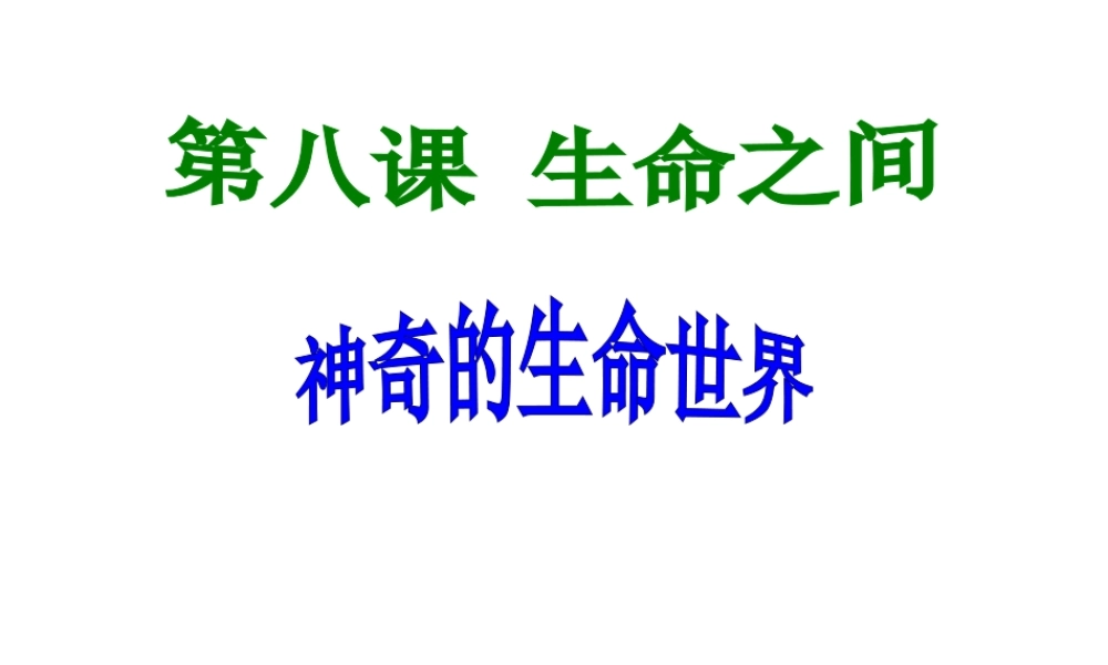 2014秋七年级政治上册 第三单元 第一课 第1框 神奇的生命世界课件 新人教版