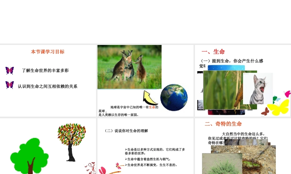 2014秋七年级政治上册 第三单元 第一课 第1框 神奇的生命世界课件 新人教版