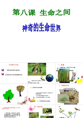 2014秋七年级政治上册 第三单元 第一课 第1框 神奇的生命世界课件 新人教版