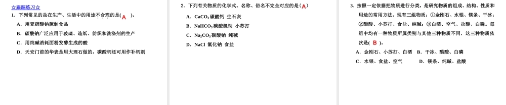 2015届九年级化学下册 8.3.1 制碱的原理同步精品课件（基础版）（新版）鲁教版