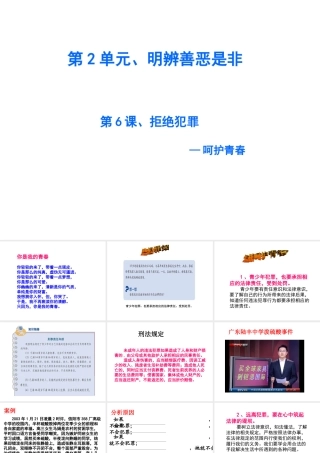 2015年八年级政治下册 第6课 拒绝犯罪（第3课时）课件 北师大版