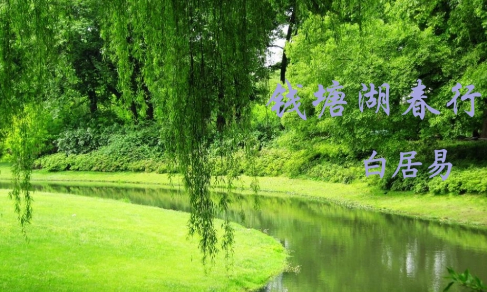 2017八年级语文上册 第三单元 12 唐诗五首 钱塘湖春行课件 新人教版