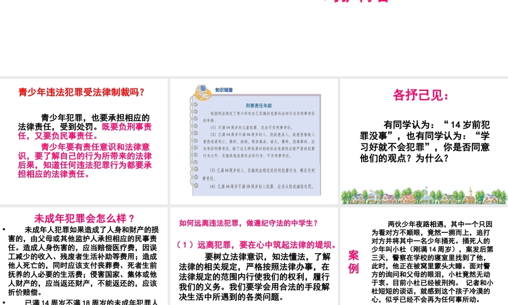 2015年八年级政治下册 第6课 拒绝犯罪（第4课时）课件 北师大版