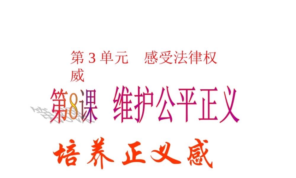 2015年八年级政治下册 第8课 维护公平正义（第3课时）课件 北师大版