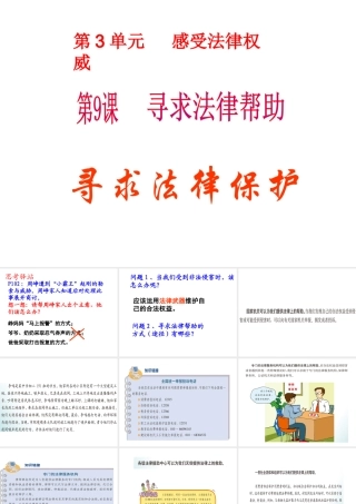 2015年八年级政治下册 第9课 寻求法律帮助（第4课时）课件 北师大版
