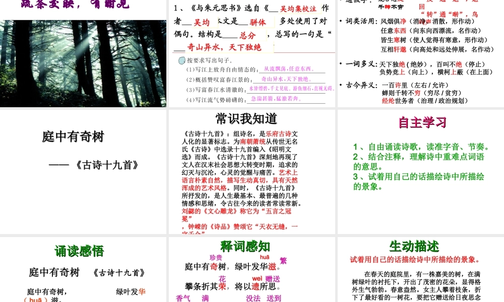 2017八年级语文上册 第三单元 课外古诗词诵读《庭中有奇树》课件 新人教版