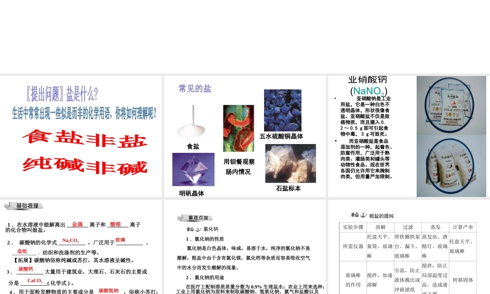 2015年春九年级化学下册 第十一单元 课题（第1课时）常见的盐课件 （新版）新人教版