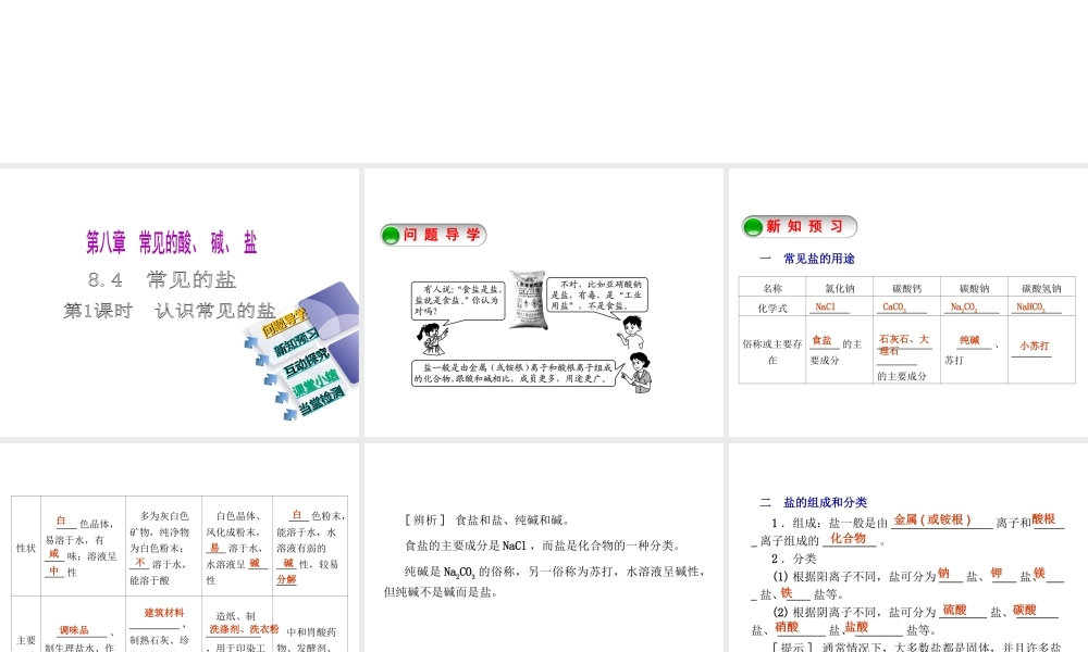 2015九年级化学下册 8.4 常见的盐（第1课时）认识常见的盐精品课件 （新版）粤教版