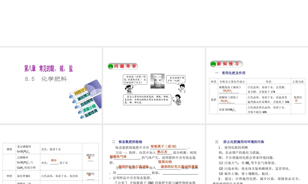 2015九年级化学下册 8.5 化学肥料精品课件 （新版）粤教版