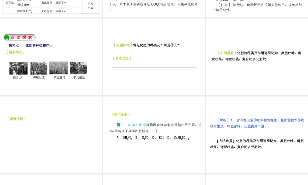 2015九年级化学下册 8.5 化学肥料精品课件 （新版）粤教版