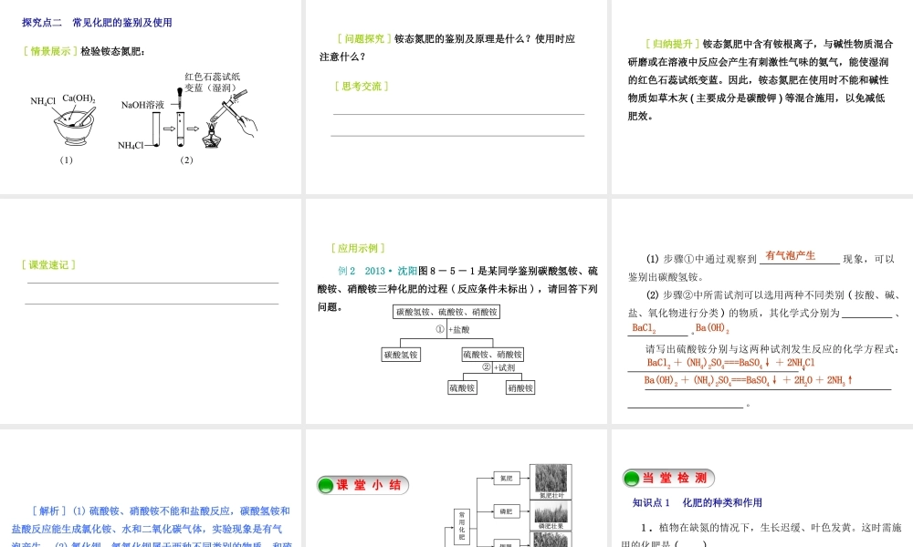 2015九年级化学下册 8.5 化学肥料精品课件 （新版）粤教版