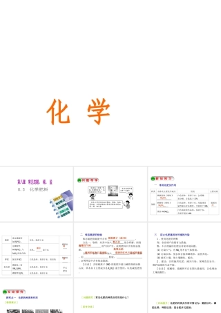 2015九年级化学下册 8.5 化学肥料精品课件 （新版）粤教版