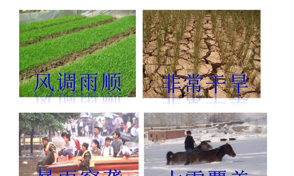 2015年河南省七年级地理上册 3.3 降水的变化与分布课件 （新版）新人教版