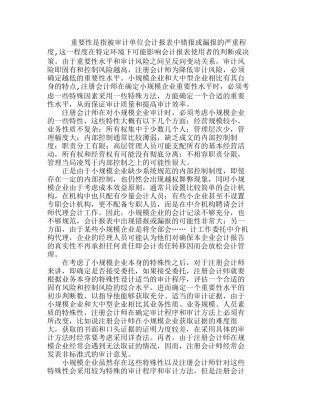 小规模企业重要性水平的确定与应用分析研究  人力资源管理专业