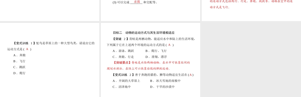 《随堂优化训练》2011年八年级生物上册 第5单元 第15章 第1节 动物运动的方式 配套课件 北师大版