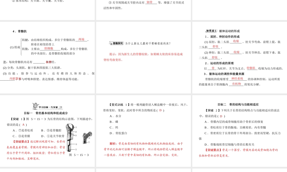 《随堂优化训练》2011年八年级生物上册 第5单元 第15章 第2节 动物运动的形成 配套课件 北师大版