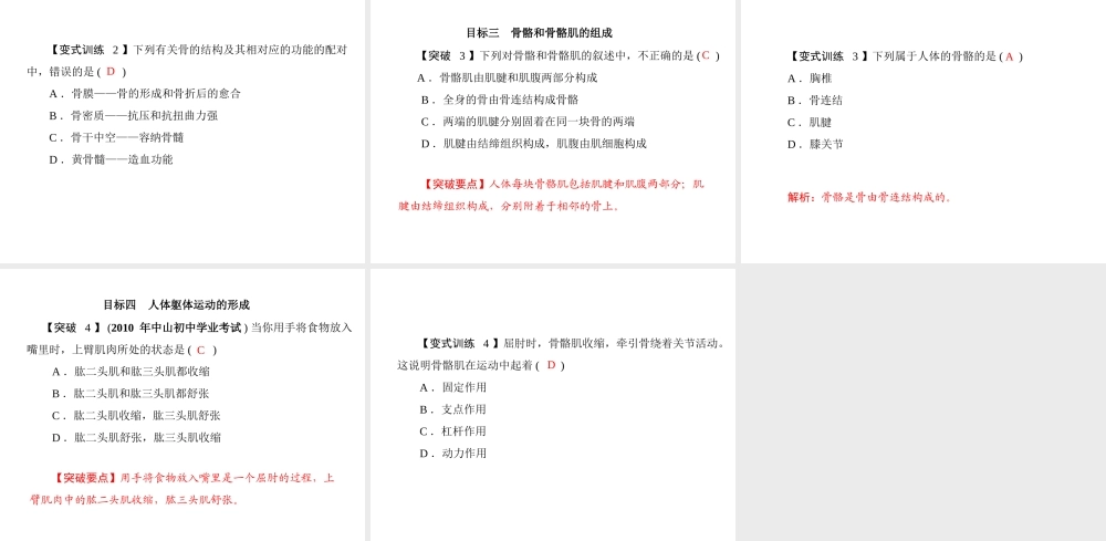 《随堂优化训练》2011年八年级生物上册 第5单元 第15章 第2节 动物运动的形成 配套课件 北师大版