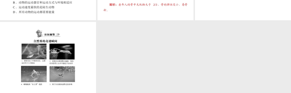 《随堂优化训练》2011年八年级生物上册 第5单元 第15章 章末知识提升课件 北师大版