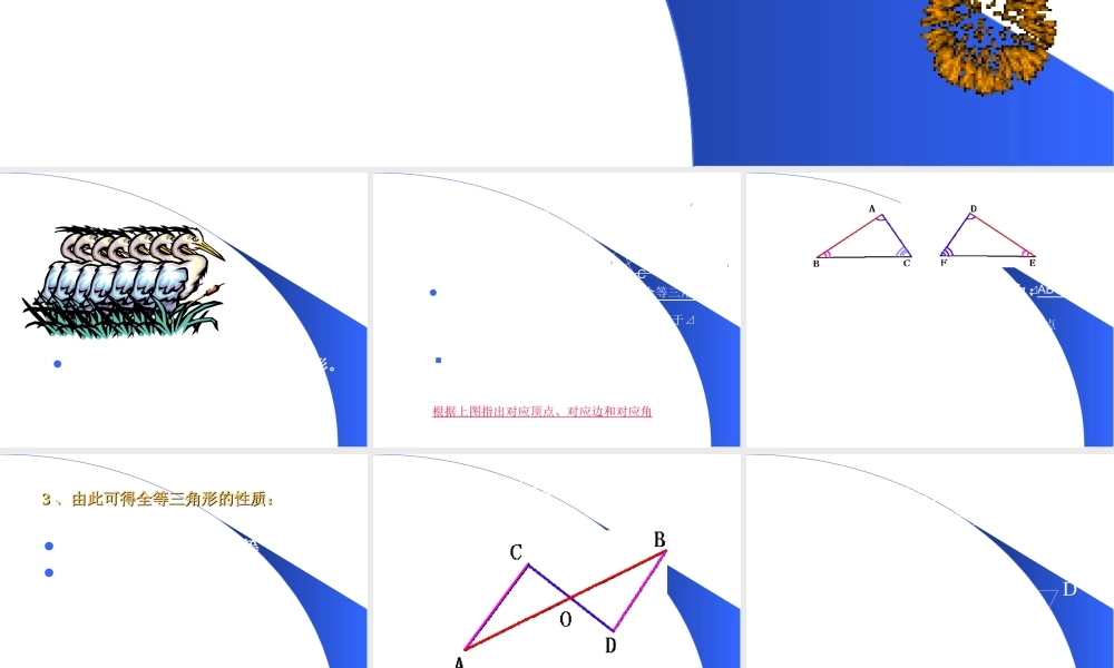 3.4全等三角形(1)