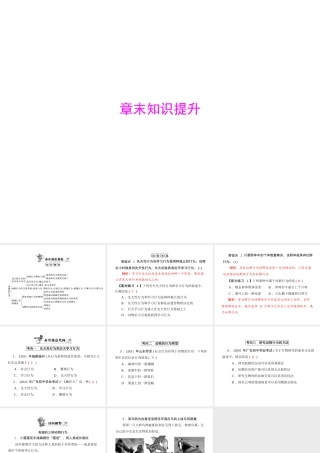 《随堂优化训练》2011年八年级生物上册 第5单元 第16章 章末知识提升 配套课件 北师大版