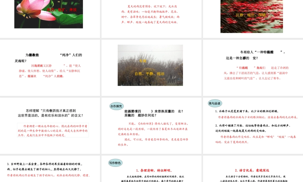 3.雨的四季课件