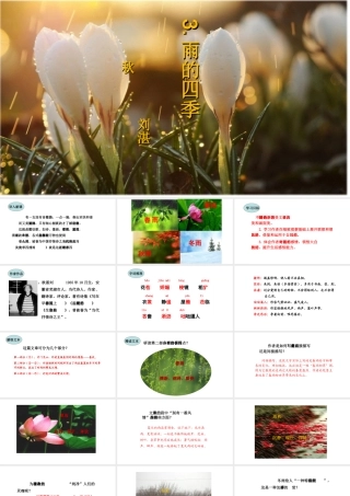 3.雨的四季课件