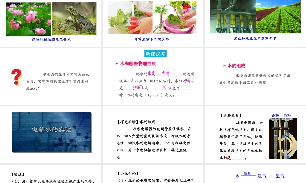 4.2 水的组成课件