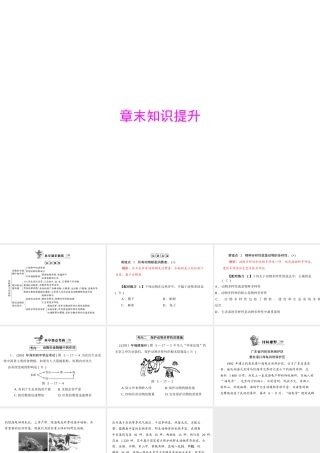《随堂优化训练》2011年八年级生物上册 第5单元 第17章 章末知识提升课件 北师大版