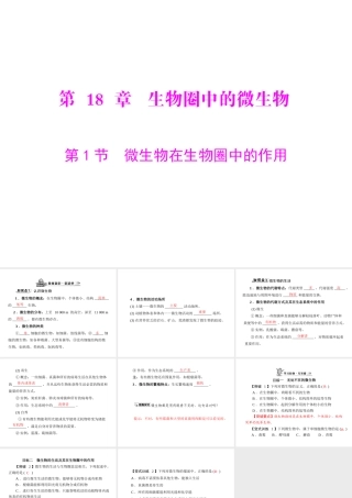 《随堂优化训练》2011年八年级生物上册 第5单元 第18章 第1节 微生物在生物圈中的作用 配套课件 北师大版