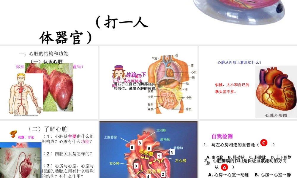 4.3 输送血液的泵——心脏课件 (1)